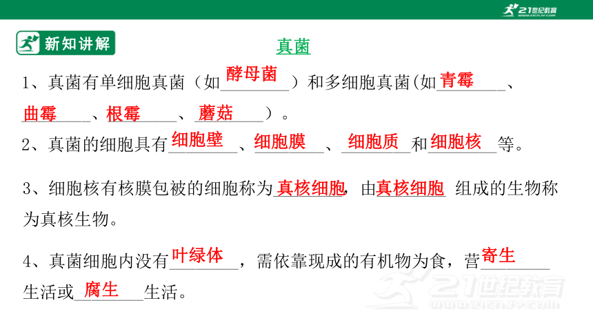 5.14.3 神奇的微生物-2023-2024学年八年级生物上册同步课件（苏教版）(共40张PPT)