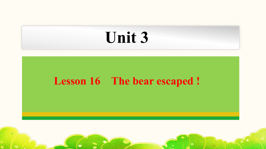 Unit 3 Lesson 16 The bear escaped !  课件(共26张PPT) 2023-2024学年冀教版英语八年级下册