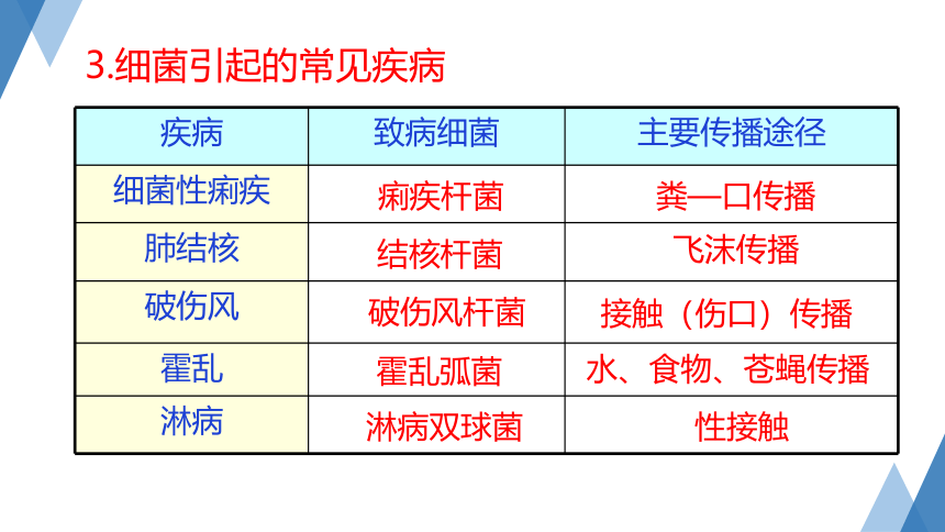 3.2 来自微生物的威胁 第1课时—2023-2024学年浙教版科学九年级下册（课件 29张ppt）