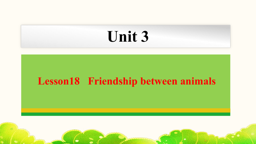 Unit 3 Lesson 18 Friendship between animals  课件(共27张PPT) 2023-2024学年冀教版英语八年级下册
