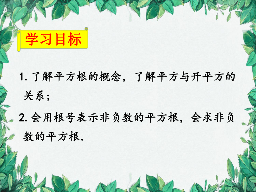 北师大版数学八年级上册 2.2平方根  课件(共19张PPT)