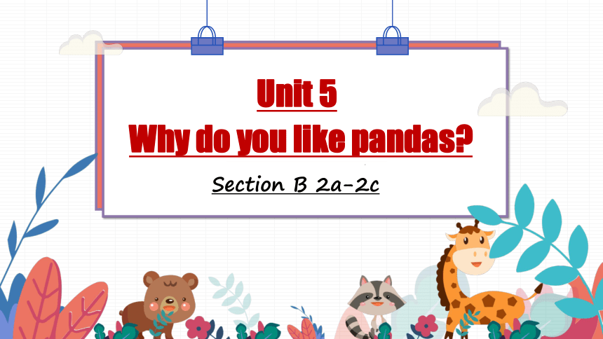 Unit 5 Why do you like pandas Section B 2a-2c课件＋音频(共28张PPT。含内嵌视频)人教版七年级下册