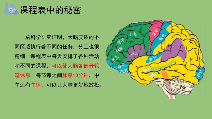 科学大象版（2017秋）五年级上册2.4 脑的保健 课件（共11张PPT+视频）