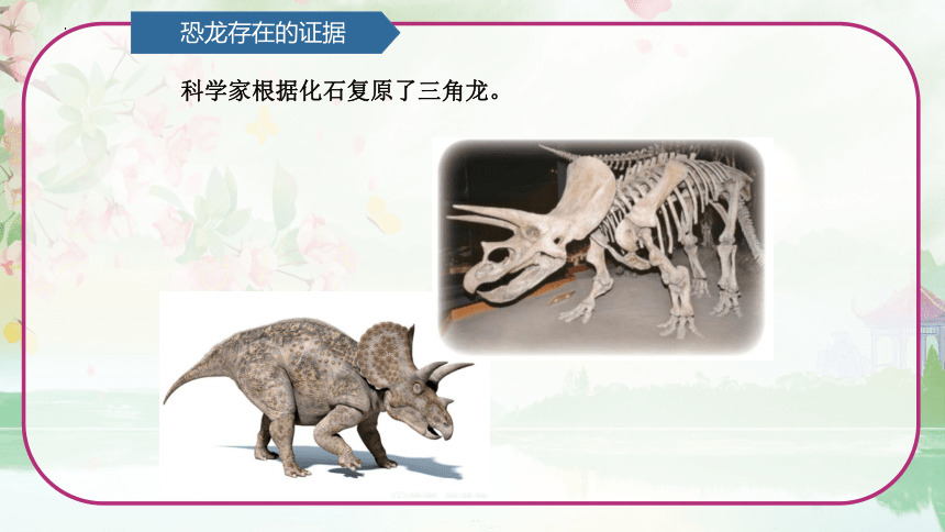 青岛版（六三制2017秋） 六年级上册1.3.灭绝的生物 课件(共16张PPT）