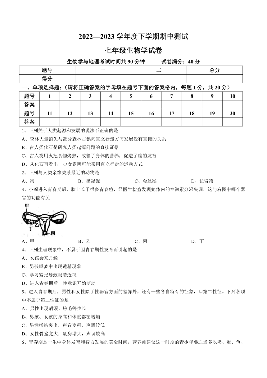 辽宁省丹东市凤城市2022-2023学年七年级下学期期中生物试题（含答案）