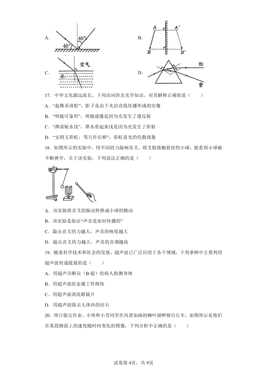 山东省临沂市郯城县2023-2024学年八年级上学期期中考试物理试题（解析版）