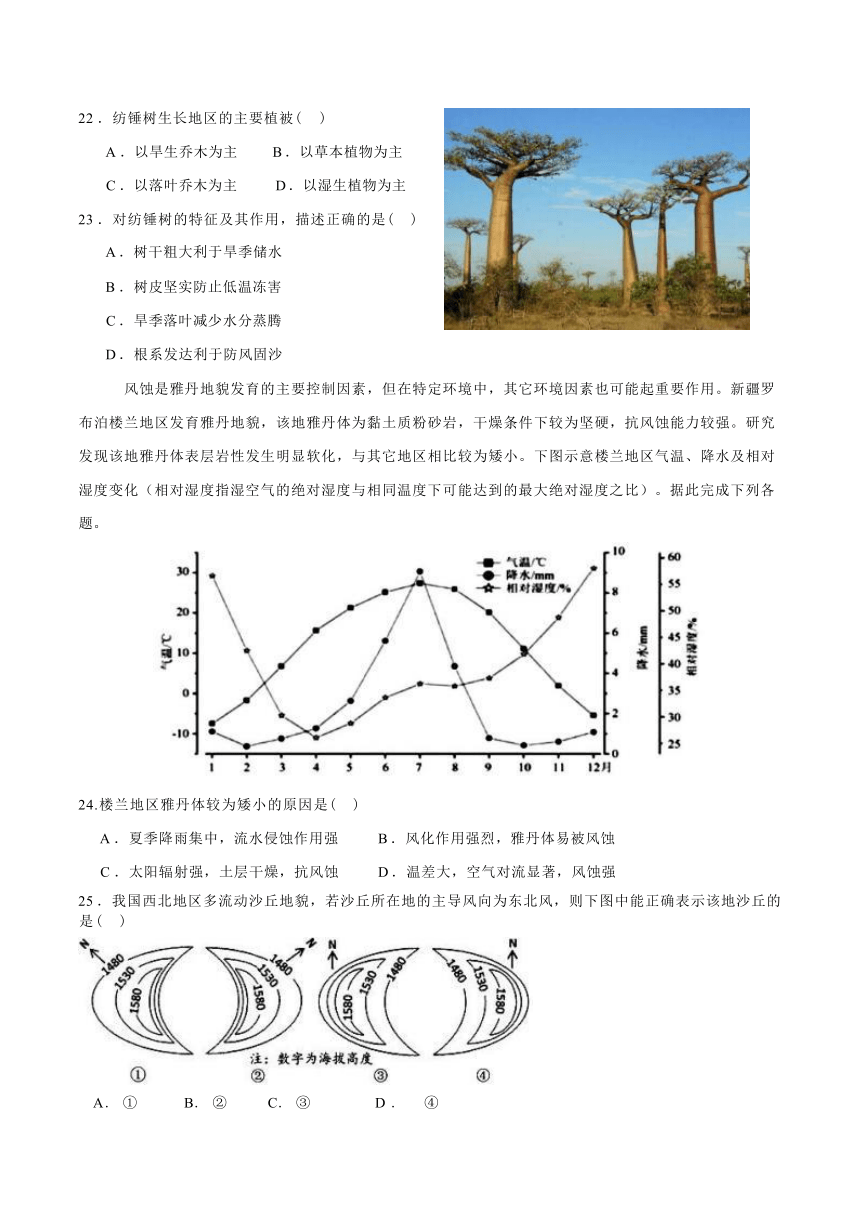 山东省泰安市新泰中学2023-2024学年高一上学期第二次月考地理试题（ 含答案）