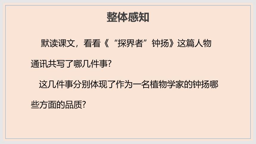 4.3《“探界者”钟扬》课件(共30张PPT)2023-2024学年统编版高中语文必修上册