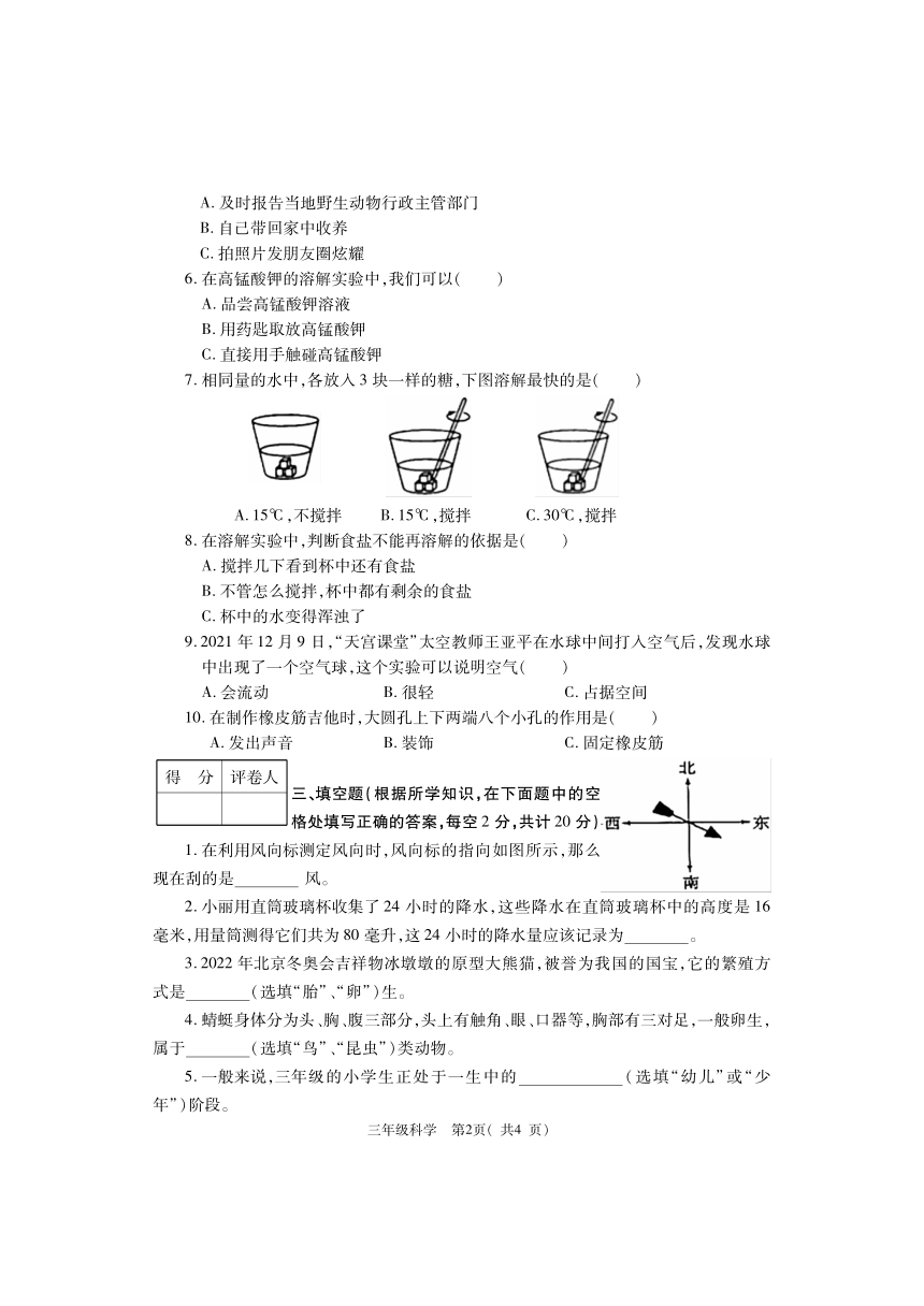 河南省巩义市2022-2023学年三年级上学期期末考试科学试题（PDF版无答案）