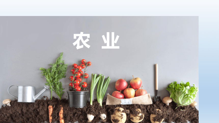 湘教版地理八年级上册 4.1农业课件(共23张PPT)