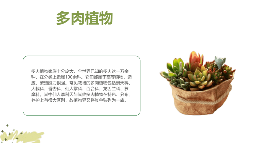 美术社团课程《小植物盆栽》小学延时服务 课件 (21张PPT)