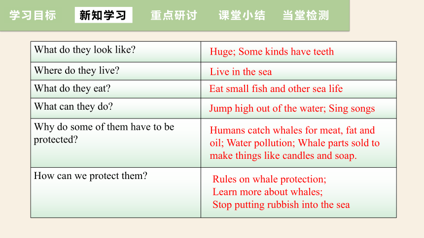 Unit 7 What's the highest mountain in the world?Section B (3a~Self Check)  课件(共16张PPT) 2023-2024学年人教