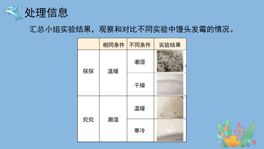 科学大象版（2017秋）六年级上册1.3《发霉的馒头》课件（共22张PPT）