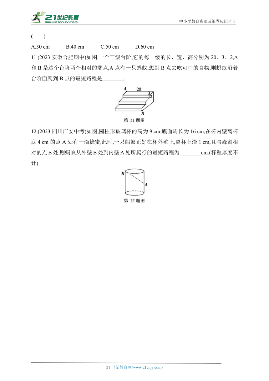 2024青岛版数学八年级下学期--专项素养综合全练（四）勾股定理的五种常见模型（含解析）