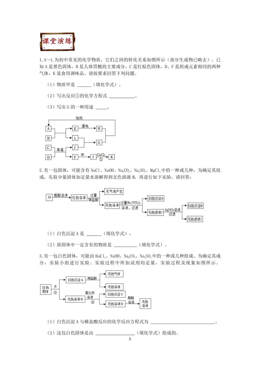 浙教版科学2023-2024学年上学期九年级“冲刺重高”讲义（十七）：物质的推断（含解析）