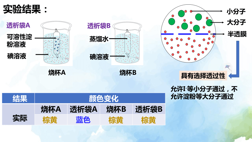 4.1细胞通过质膜与外界进行物质交换课件（25张ppt）-2023-2024学年高一上学期生物沪科版（2019）必修1