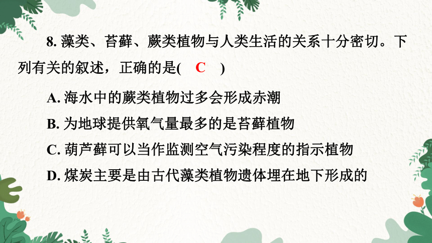 3.1.1 藻类、苔藓和蕨类植物习题课件(共21张PPT)人教版生物七年级上册