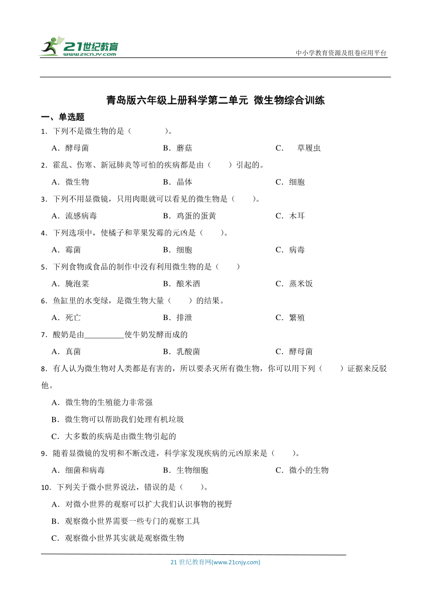 青岛版六年级上册科学第二单元 微生物 综合训练（含答案）