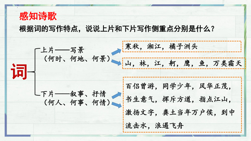 第一单元1《沁园春长沙》课件(共48张PPT)2023-2024学年统编版高中语文必修上册