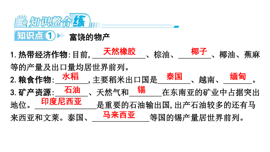 7.1东南亚 第2课时　富饶的物产　中国的近邻 习题课件 (共23张PPT)湘教版七年级地理下册