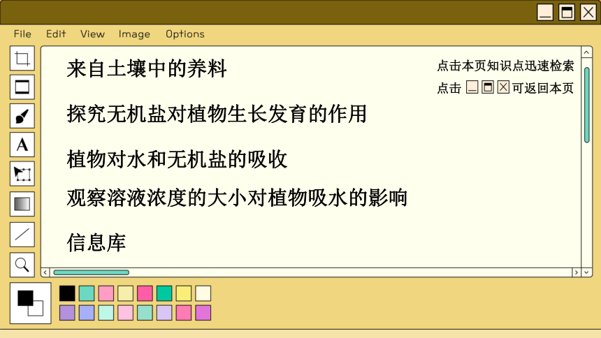 3.4.2绿色植物的生长需要水和无机盐课件（共75张PPT＋内嵌视频2个） 苏科版生物七年级上册