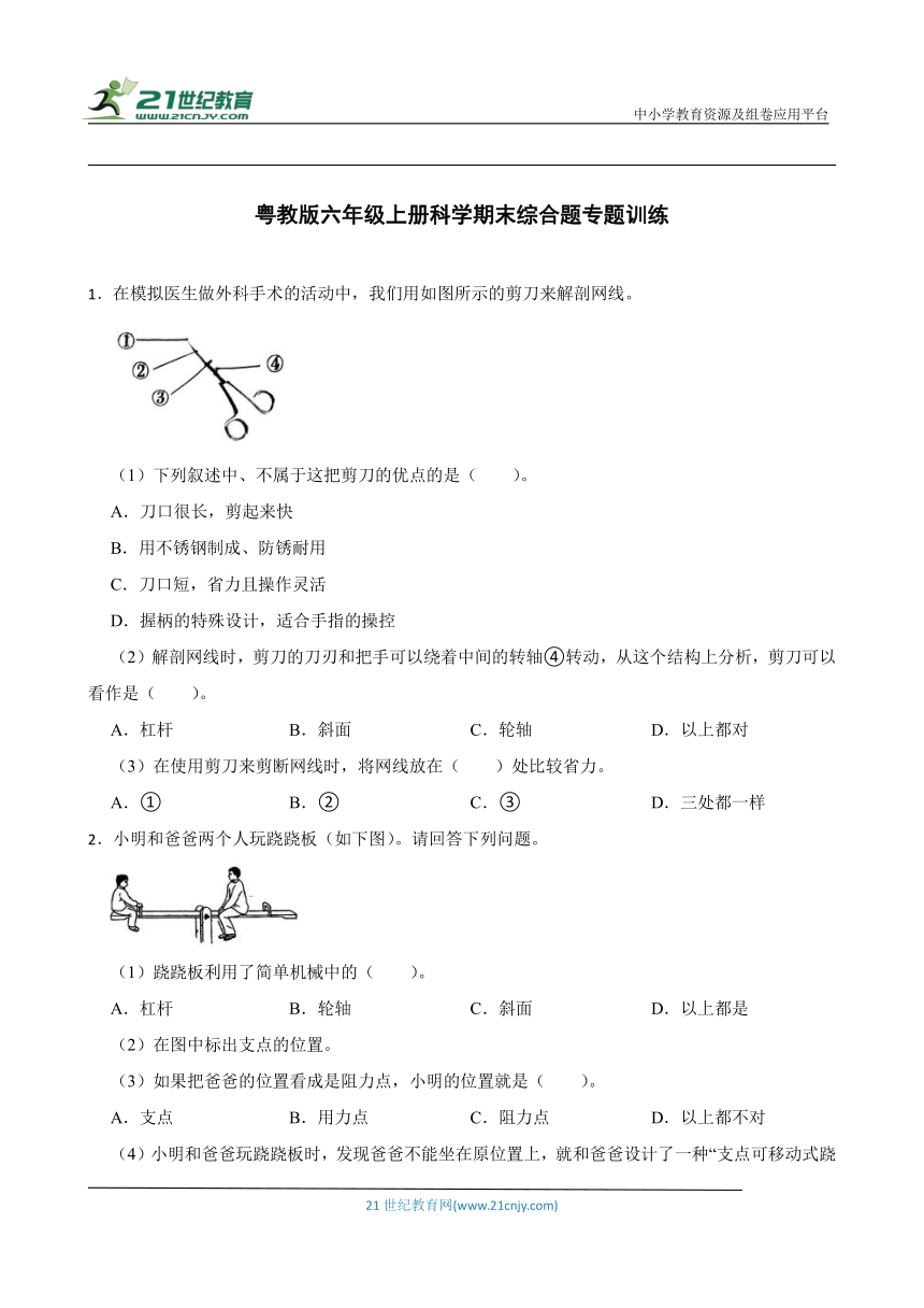 粤教版六年级上册科学期末综合题专题训练（含答案）