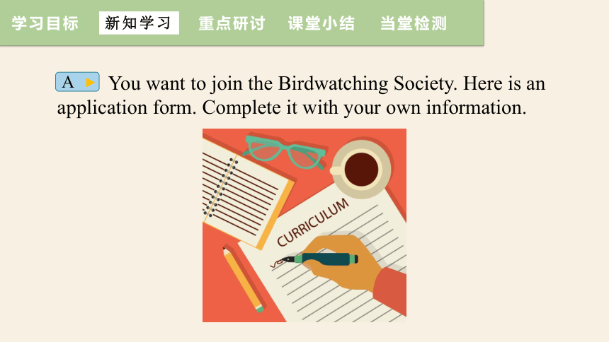 Unit 6  Bird watching Task 课件 (共19张PPT)牛津译林版英语八年级上册