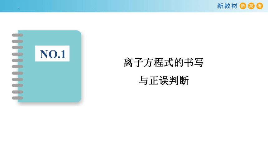 1.2.4 专题：离子反应强化与提升（课件）(共33张PPT)高一化学（人教版2019必修第一册）