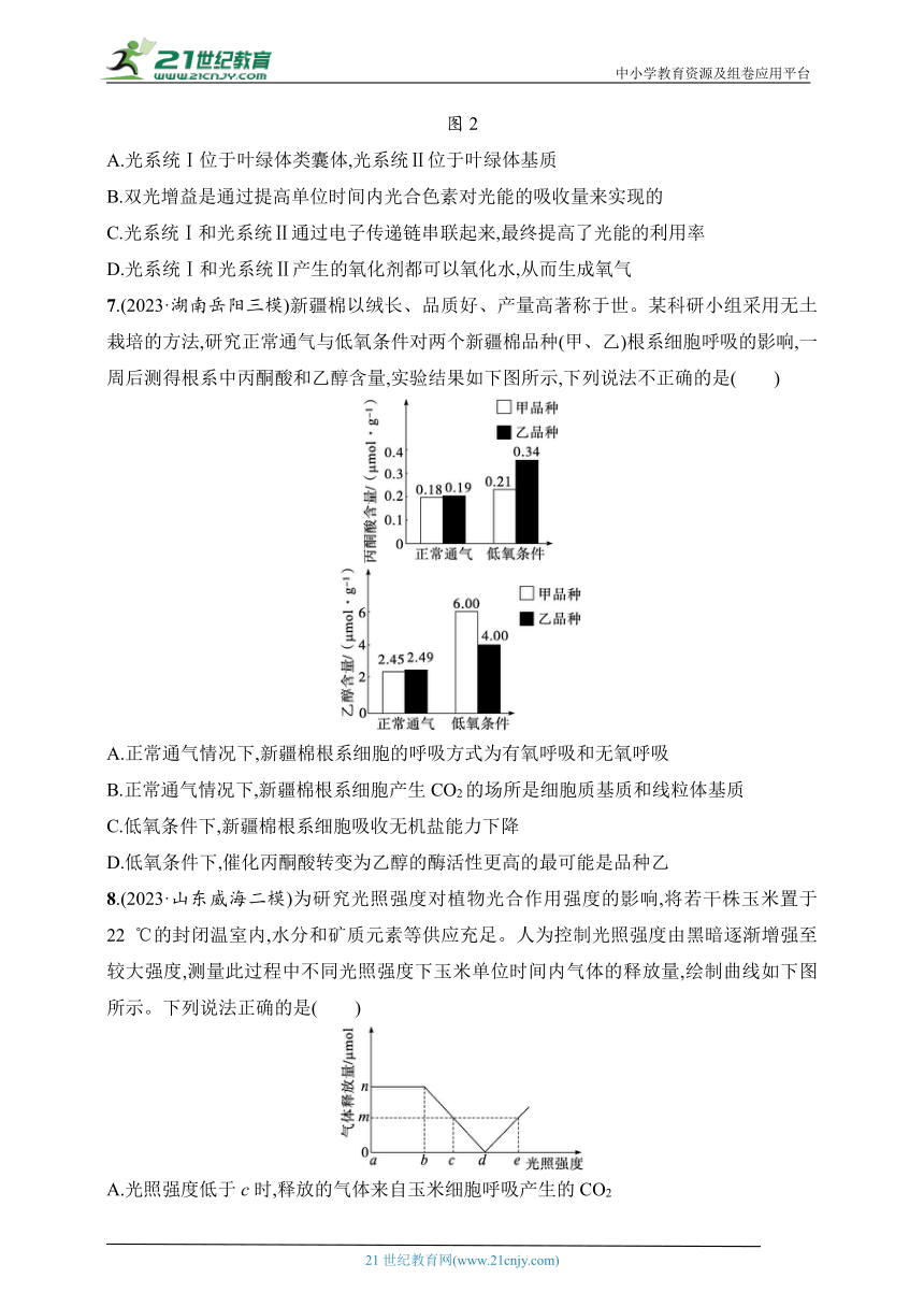 【备考2024】高中生物二轮专题练习  4.细胞呼吸和光合作用（含解析）