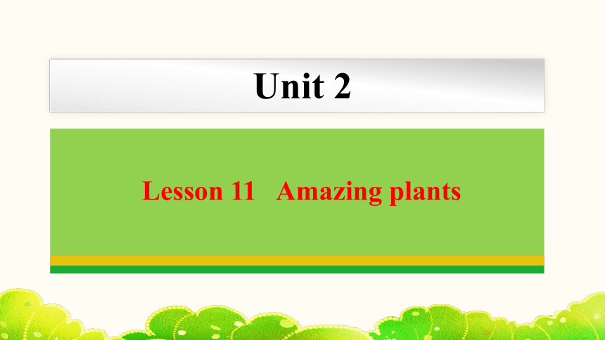 Unit 2 Lesson 11 Amazing plants  课件(共26张PPT) 2023-2024学年冀教版英语八年级下册