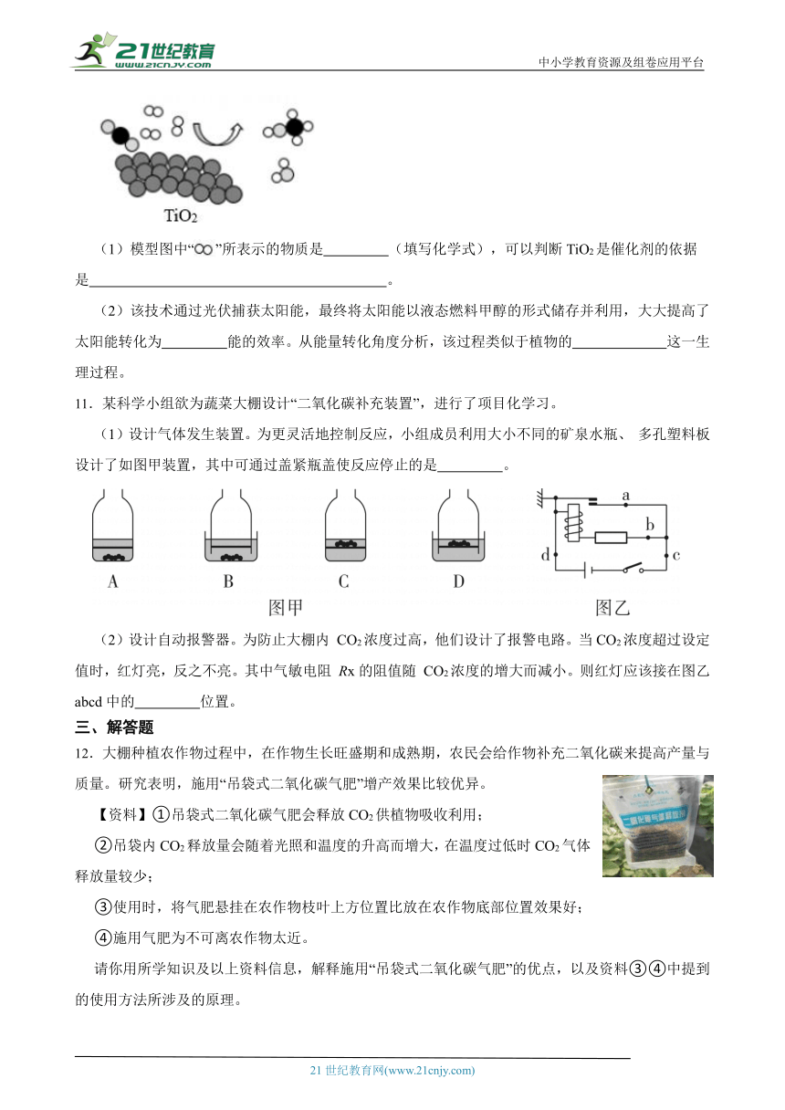 浙教版八下 3.6光合作用 随堂练习（含解析）