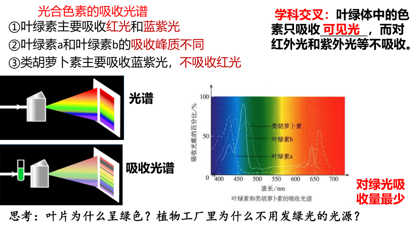 5.4光合作用复习与拓展 课件(共113张PPT)高中人教版生物必修一