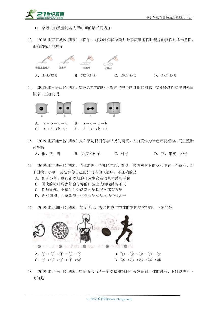 2023-2024学年初中生物济南版七年级上册期中测试模拟题（解析+答案）