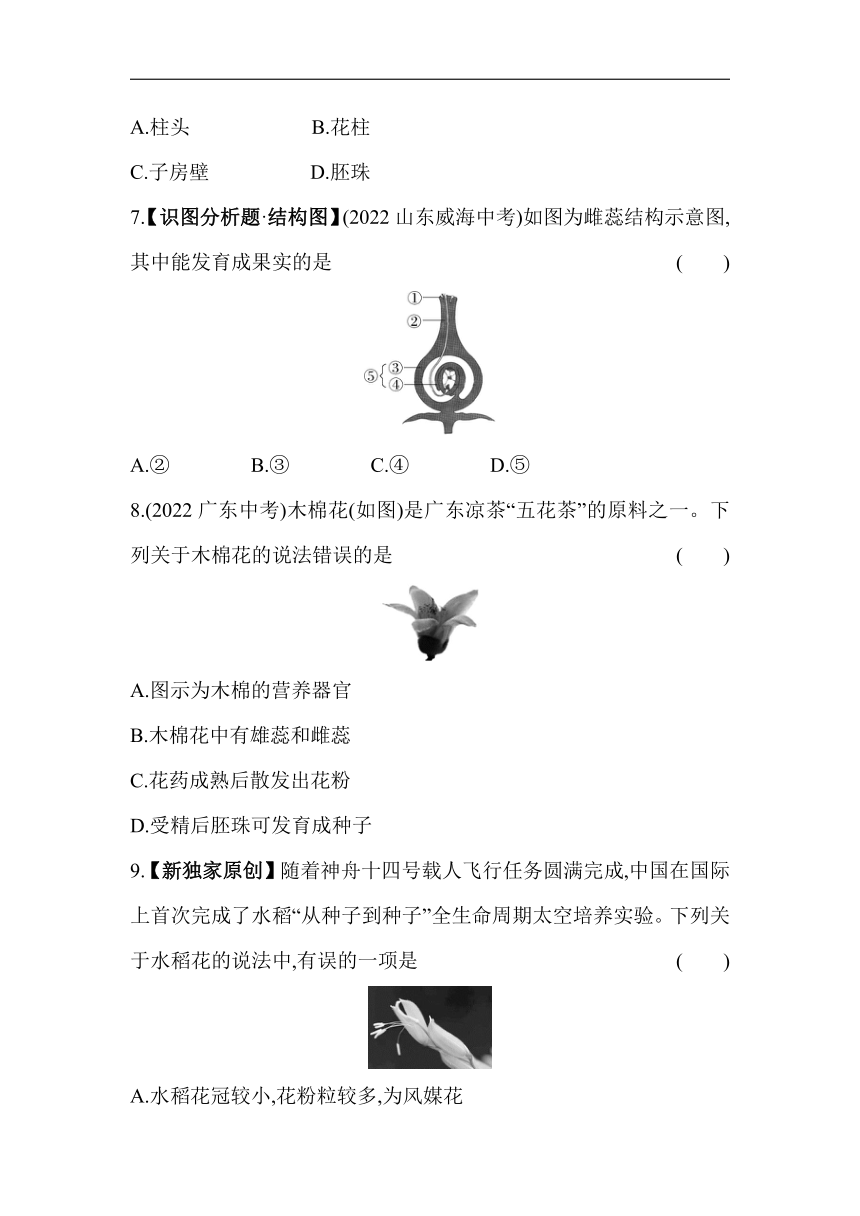 10.3.1花的结构及果实、种子的形成素养提升练（含解析）北京版生物八年级上册