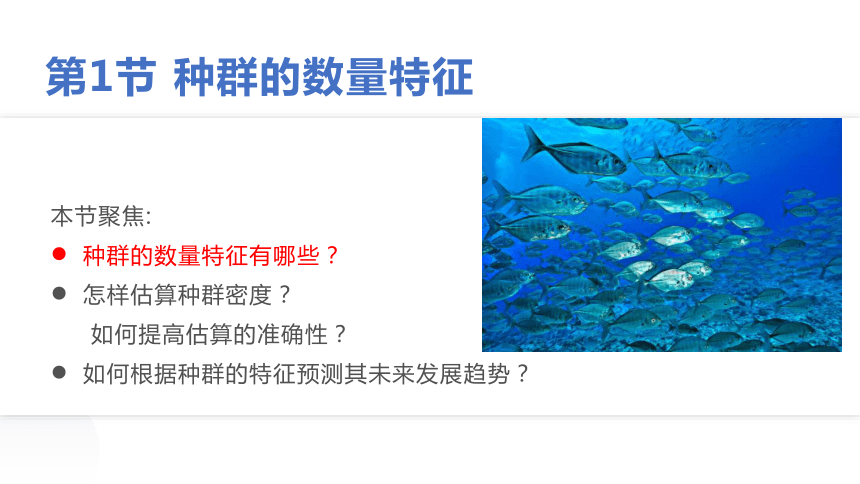 1.1 种群的数量特征（共31张PPT）-高二生物课件（人教版2019选择性必修2）