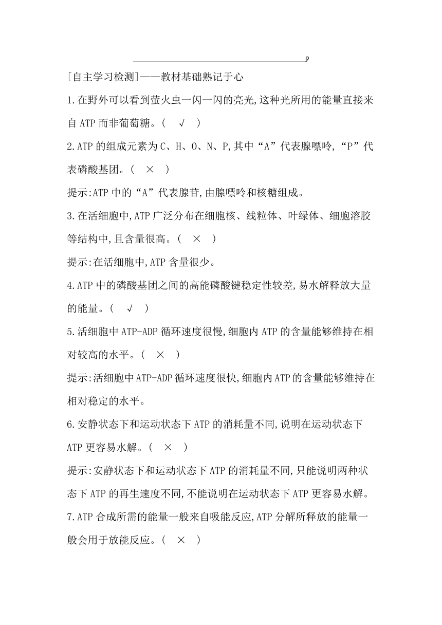 浙科版（2019）生物必修一 第三章第一节　ATP是细胞内的“能量通货”学案（有答案）