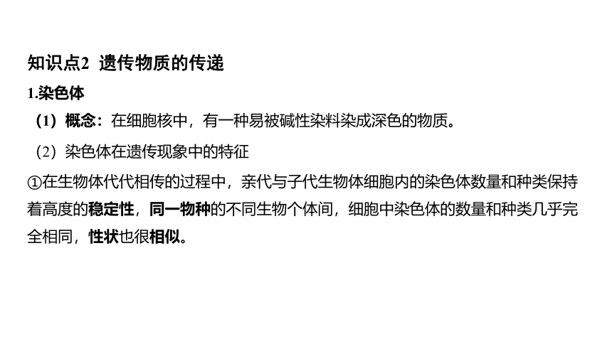 1.5遗传与进化（课件 29张PPT 学案)