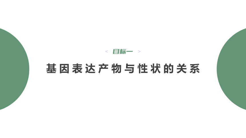 4.2 基因表达与性状的关系-2023-2024学年高一生物人教版必修第二册课件(共56张PPT)