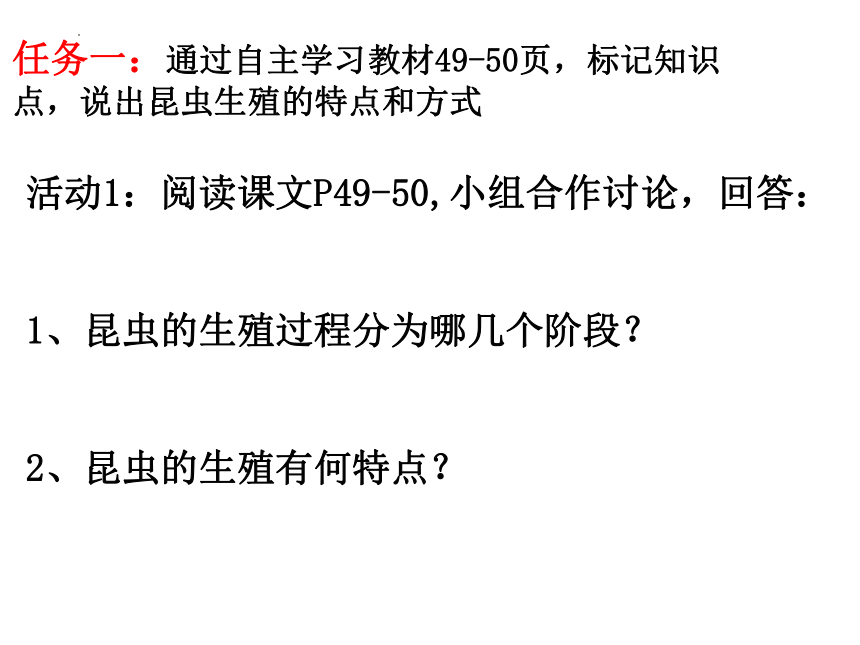 4.2.1 昆虫的生殖和发育-2023-2024学年八年级生物上册同步精品课件（济南版）(共19张PPT)