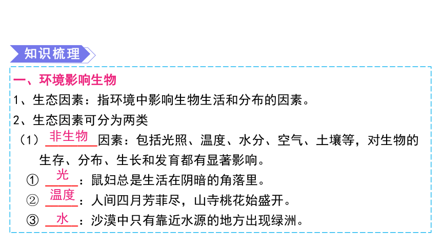 专题01 生物和生物圈2024年中考生物一轮复习精品课件（全国通用）(共36张PPT)