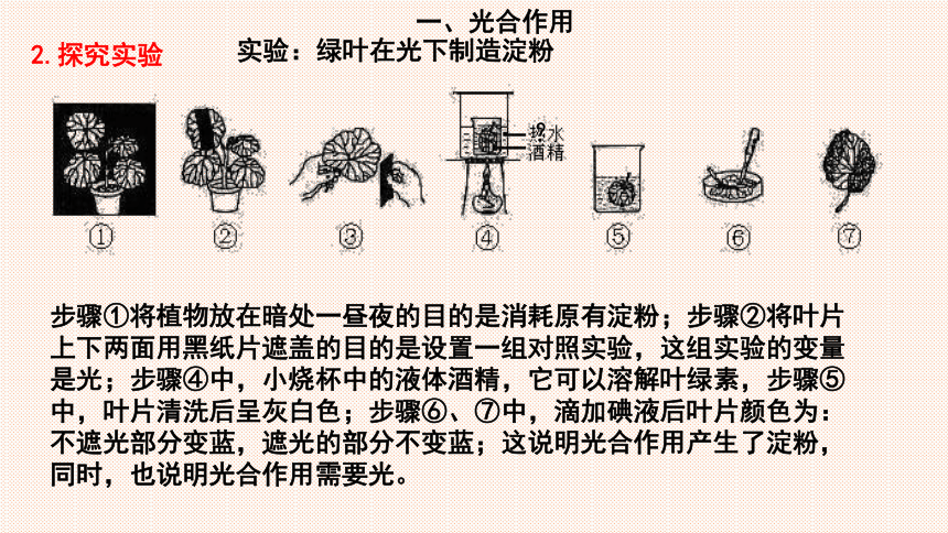 第5章 绿色开花植物的生活方式 2023-2024学年七年级生物上册同步精品课件（北师大版）(共27张PPT)