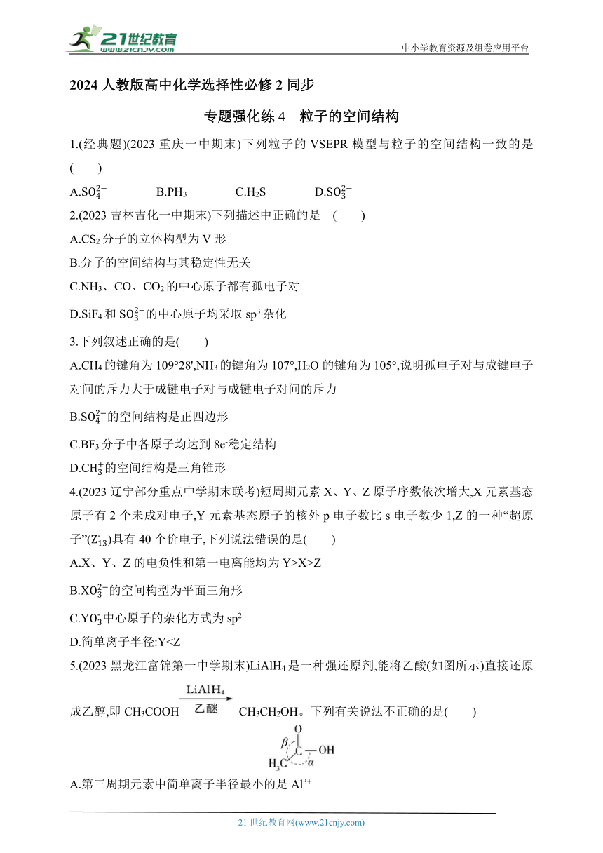 2024人教版高中化学选择性必修2同步练习题--专题强化练4　粒子的空间结构（含解析）