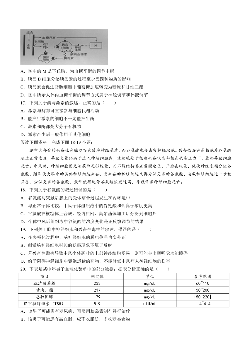 浙江省衢州市江山中学2023-2024学年高二上学期10月月考生物学试题（Word版含答案）