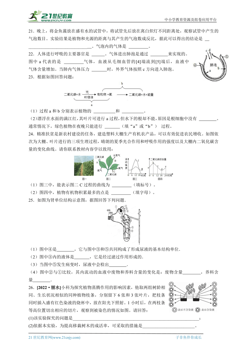 2024中考科学冲刺之生物的物质和能量专题（含答案）