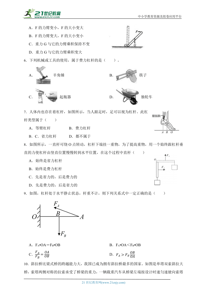 华师大版科学九上期末专题复习：杠杆（含答案）