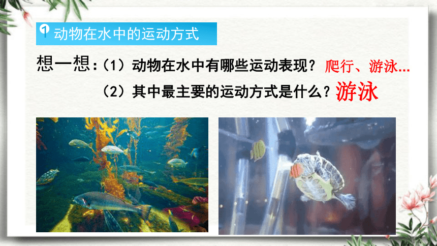 15.1 动物运动的方式-【易备课】2023-2024学年八年级生物上册同步教学课件（北师大版）(共38张PPT)