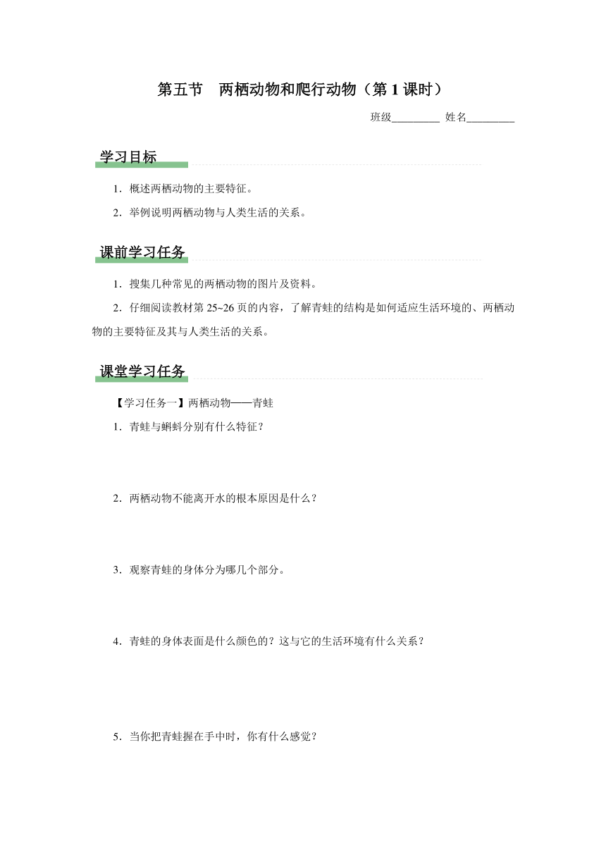 5.1.5 两栖动物和爬行动物（第1课时）学案（无答案）  人教版八年级生物上册