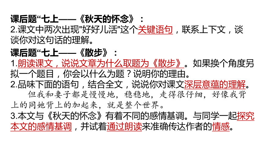 2024陕西中考语文备考《记叙文阅读》 课件(共49张PPT)