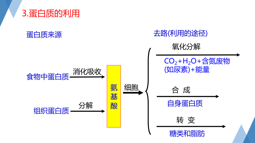 4.5 体内物质的动态平衡（第1课时 课件  28张PPT）