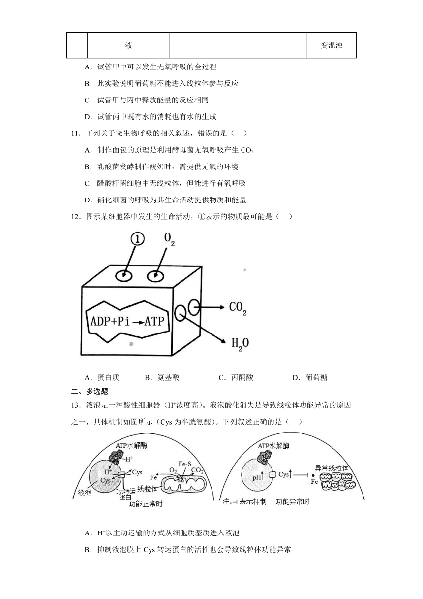 5.3细胞呼吸的原理和应用测试题（含解析）2023-2024学年高中生物学人教版（2019）必修1